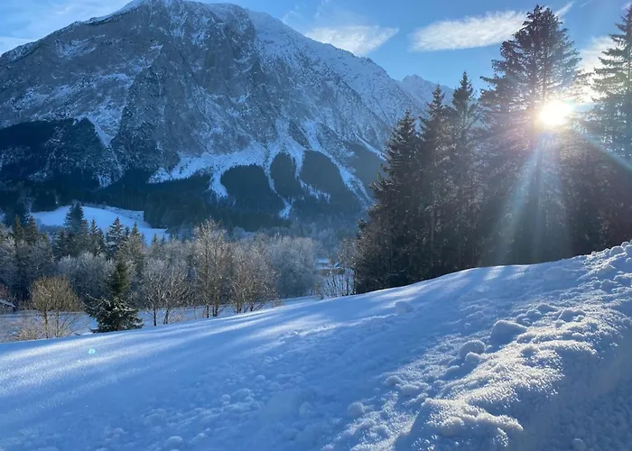 Appartement Tauplitz-grimming-view Mit Sauna *